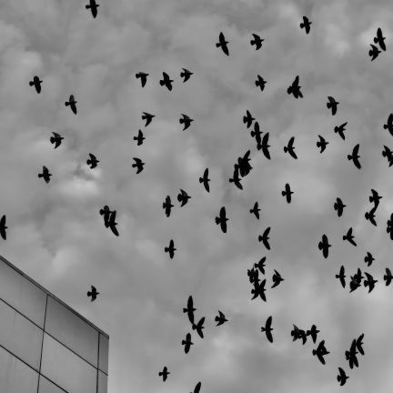 3ème place avec 164 likes : Ottawa - Jeanne Launay