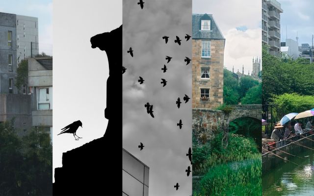 Résultat du concours photo